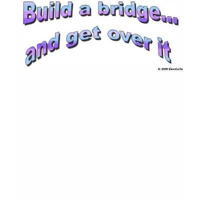 Build a bridge T-shirt by slamdunksapparel