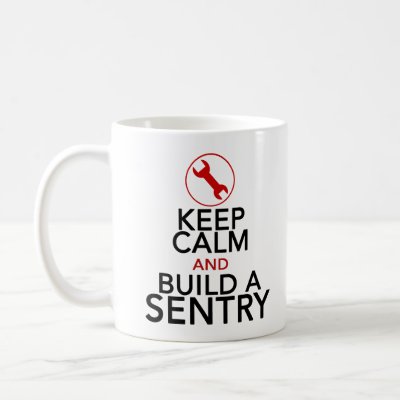a sentry