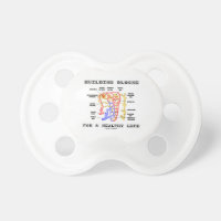 Building Blocks For A Healthy Life Kidney Nephron BooginHead Pacifier