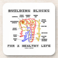 Building Blocks For A Healthy Life Kidney Nephron Coaster