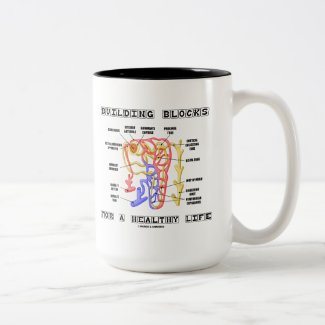Building Blocks For A Healthy Life Kidney Nephron Coffee Mugs