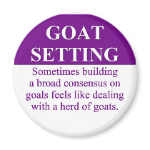 Building Consensus on Goal Setting (3) Magnet