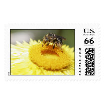 Buisy Bee postage
