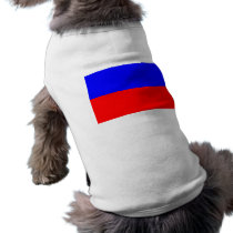 Bukowina, Romania pet clothing