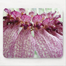 bulbophyllum eberhardtii mouse pad