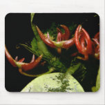 Bulbophyllum patens mouse pads