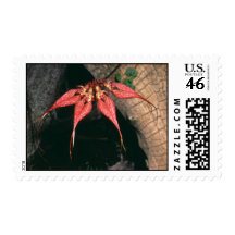 Bulbophyllum rotschildianum postage stamp