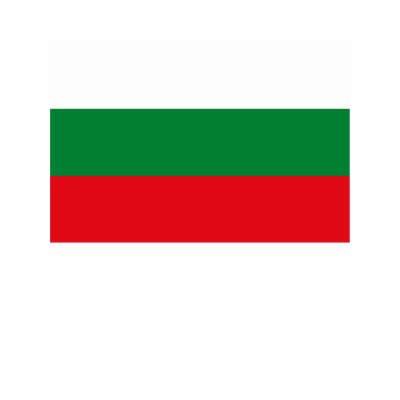 Bulgaria Flag T-shirt by FlagTshirts