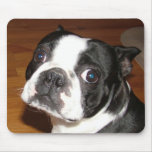 Bulged Eye mousepads