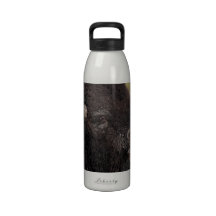 bull bison grunting drinking bottle