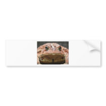Bull! Bumper Stickers
