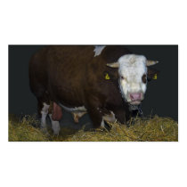 bull business card templates
