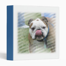 Bull Dog Binder