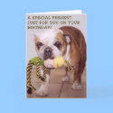 Bull dog birthday card by rescue_ranch Bull dog birthday card