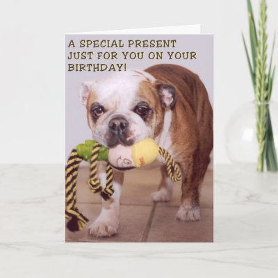Dogs Birthday Cards Art Bull dog birthday card by