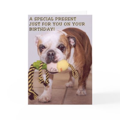 Dogs Birthday Cards Art Bull dog birthday card by