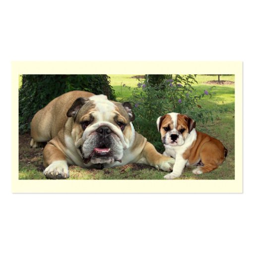 Bull Dog Breeder Business Card (front side)