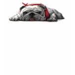 BULL DOG DAY t-shirts