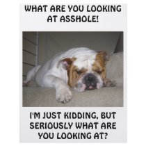 bull dog flyers
