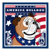 Bull Dog Poster Print