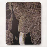Bull Elephant Mouse Pad