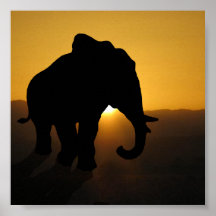 Bull elephant poster