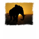 Bull elephant t-shirts
