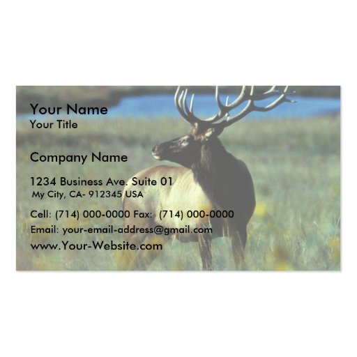 Bull elk business card template (front side)