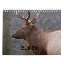 Bull Elk Calendar