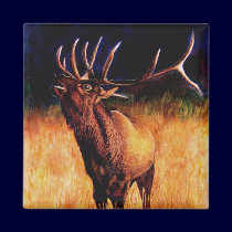 Bull Elk Call Of The Wild, Magnet