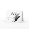 Bull Elk cards