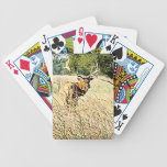 Bull Elk playing cards