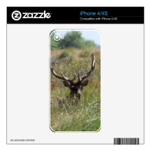Bull Elk Decals For iPhone 4S