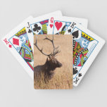 Bull Elk Deck Of Cards
