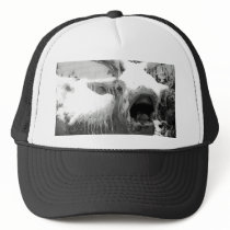 Bull Elk hats