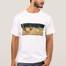 Bull Elk in Rocky Mountain Park t-shirts