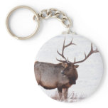 Bull Elk Key Chains