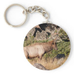 Bull Elk Keychains