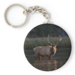 Bull Elk Keychain