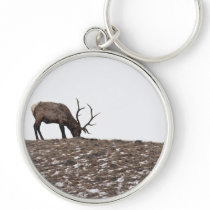 Bull Elk Key Chains