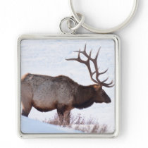 Bull Elk Keychain