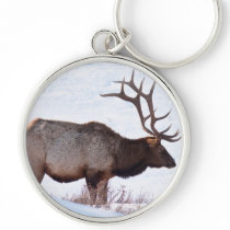Bull Elk Keychain