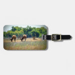Bull Elk Luggage Tag