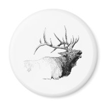 Bull Elk Refrigerator Magnets