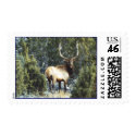 Bull Elk postage by BIGDEWY Bull Elk postage