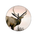 Bull Elk Round Wallclocks