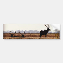 Bull Elk Silhouette Bumper Stickers