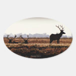 Bull Elk Silhouette Oval Sticker
