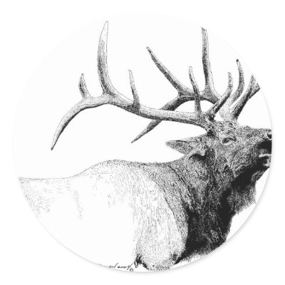 Bull Elk Sticker by WildlifeInk