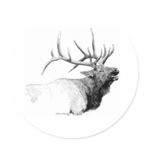 Bull Elk Round Stickers